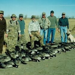 Goose-Hunting