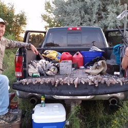 Small-Game-Hunting