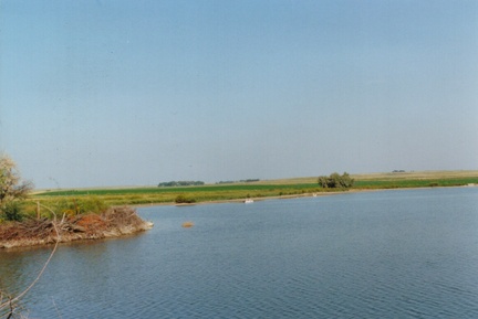 BigLakewHay